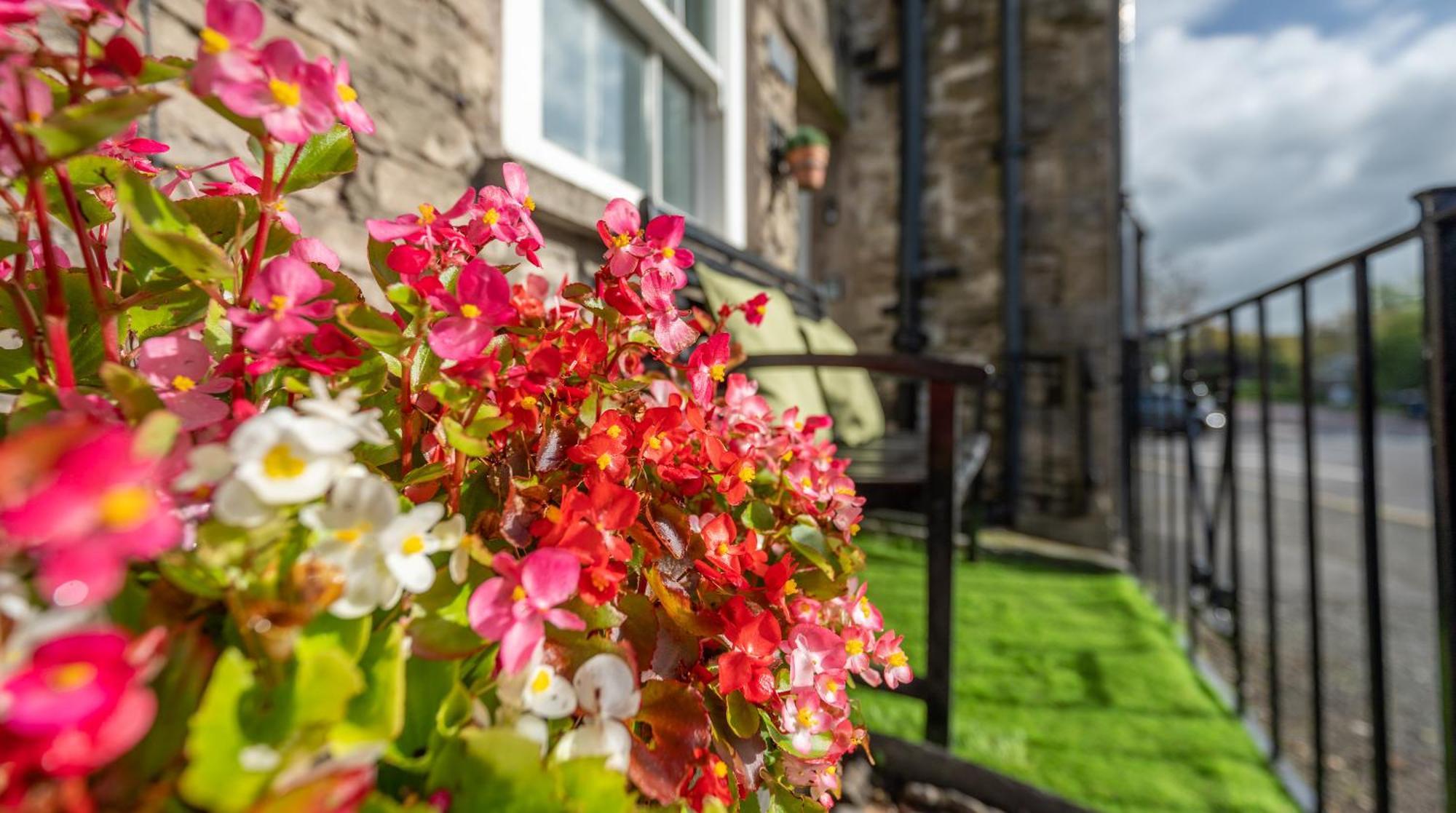 Wee Toad Hole Heart Of Kendal - Cottage Sleeps 4-6 - Dogs Welcome المظهر الخارجي الصورة